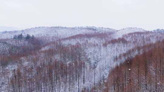 航拍山王坪冬天雪景