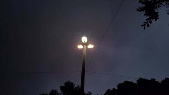 雨夜路灯的低角度视图