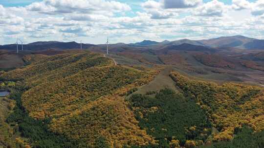 4K航拍秋天草原风景  五彩森林 秋天