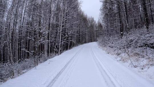 行驶在林海雪原的雪路上
