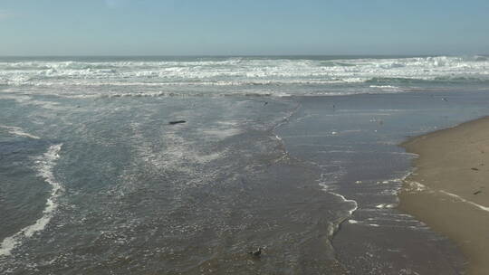 海浪拍打着海岸   