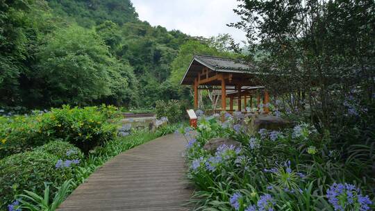 花园公园林间小路观光步道栈道