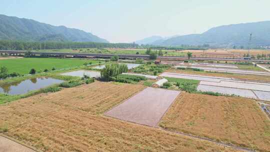 乡村农田风景航拍