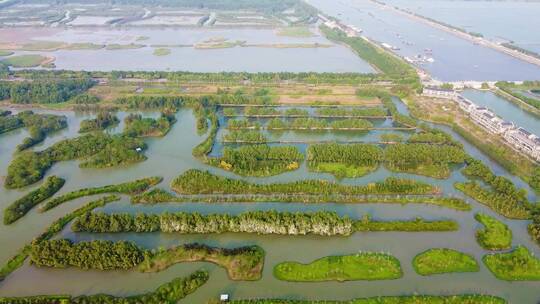 广州市湿地公园自然保护区航拍