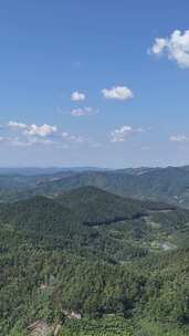 竖屏航拍山川丘陵大山山脉森林植物