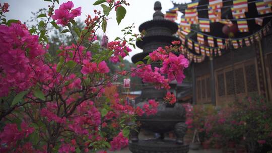 杭州上天竺法喜讲寺风景