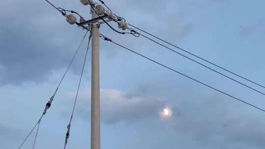 夜空月亮电线杆蚊子