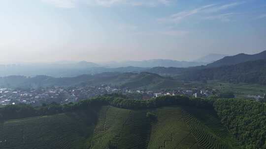 航拍杭州龙坞茶园 茶山 茶田