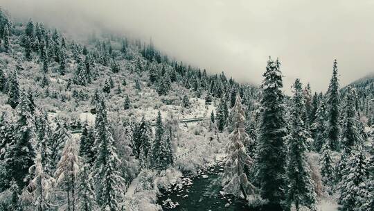 达古冰山雪景视频素材