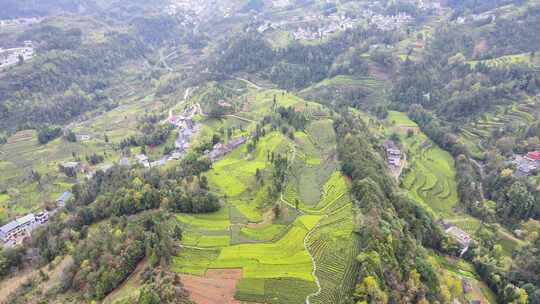 大山里的绿色茶园美景景色航拍