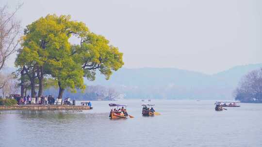 杭州西湖孤山路春天风景