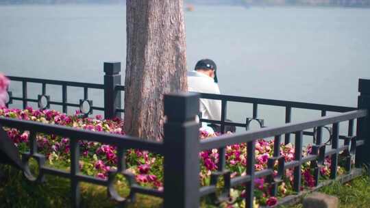 南京玄武区玄武门玄武湖景区游客观赏花朵踏视频素材模板下载