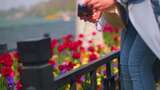 南京玄武区玄武门玄武湖景区游客观赏花朵踏高清在线视频素材下载