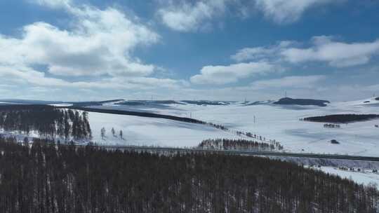 初春林海雪原风景