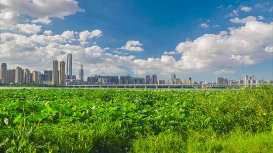 中国武汉两江四岸城市地标风光