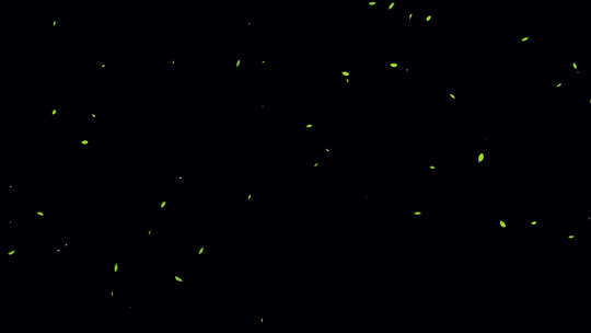 树叶飘落带通道