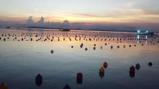 南澳生蚝养殖场航拍