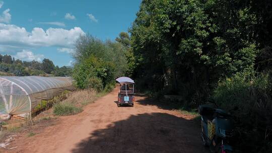 乡间土路绿树成荫的乡村小路行驶的三轮车