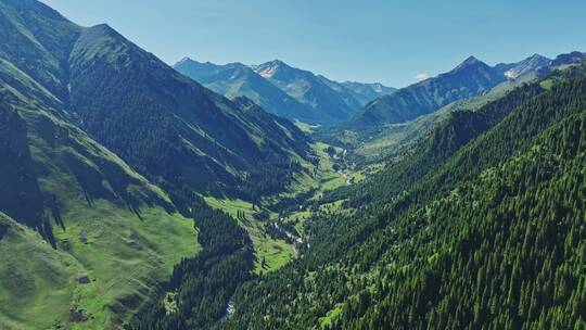 自然风光森林山川航拍视频素材模板下载