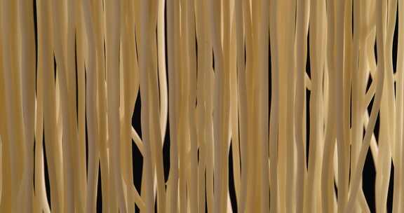 面条中式面条中餐面食手擀面手工面细面条