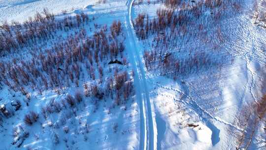 大兴安岭早春雪原红柳小路