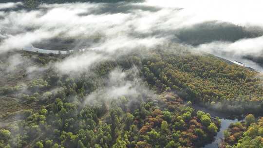 航拍秋季森林河流晨雾缭绕