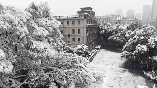 南昌大雪纷飞中的八一起义纪念馆