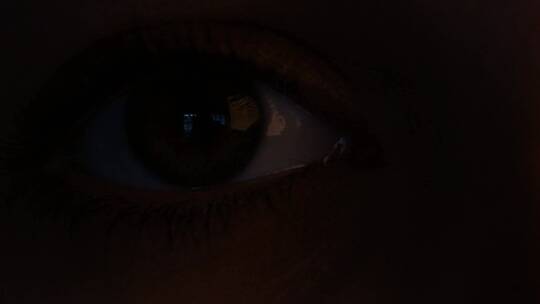 微距镜头下的褐色眼睛视频素材模板下载