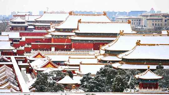 北京故宫建筑群雪景