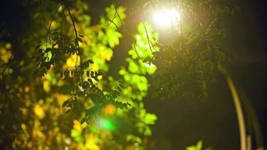 路灯下雨