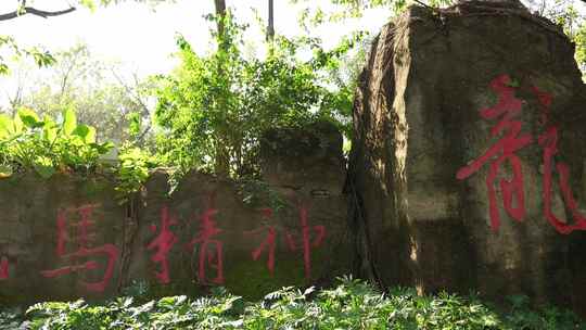 中国龙雕刻石碑视频素材模板下载