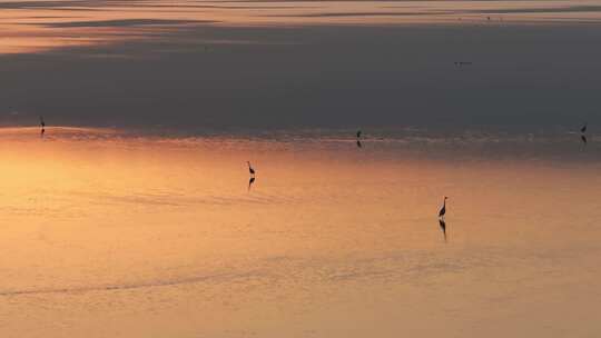 天空之境黄河入海口湿地日出