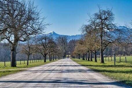 加速的冲击 冲击 加速 激动 流行朋克