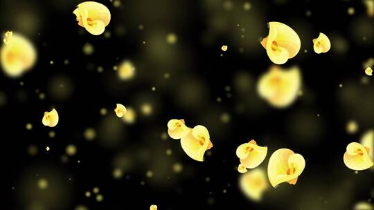 唯美黄色马蹄莲粒子背景视频视频素材模板下载