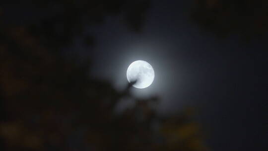 月亮意境 中秋圆月视频素材模板下载