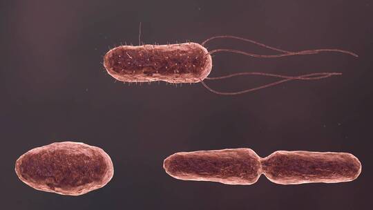 医学病原体病毒病原体病菌细菌医学三维动画