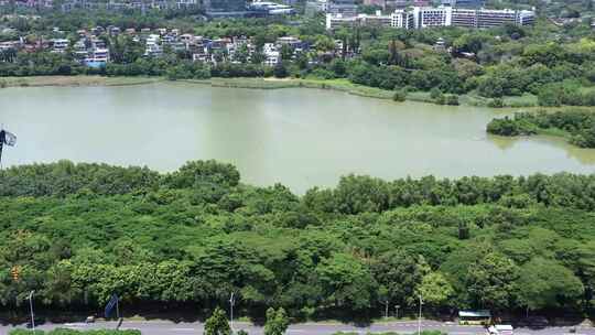 深圳华侨城国家湿地公园