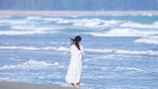 俯瞰热带海滨风光 沙滩椰林相伴