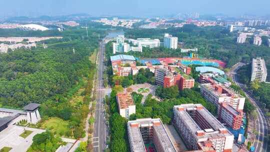 广州大学城航拍校园广州番禺区广东城市风景