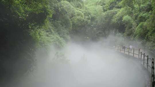 四川邛崃川西竹海风景