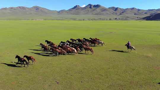 大气航拍蒙古和蒙古牧民