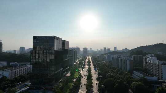 阳光道路航拍开创大道建筑风光城市交通车流