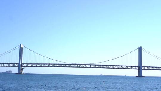 大连星海广场 海鸥  跨海大桥 大连海边视频素材模板下载