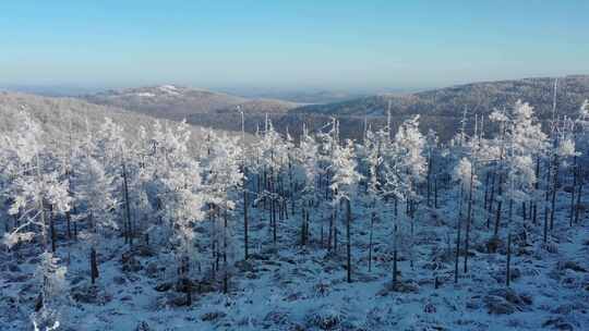 高山雾凇