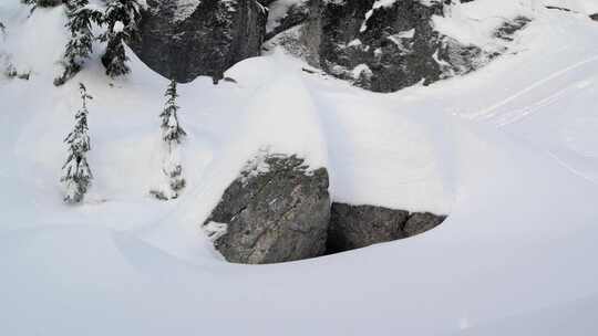 男人，单板滑雪，树，雪