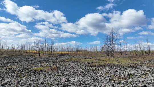 航拍内蒙达尔滨湖火山熔岩地貌