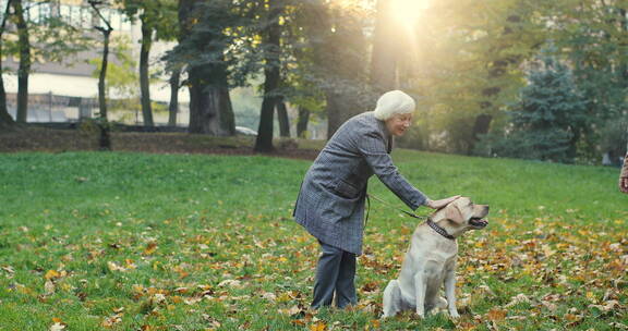 站在公园里抚摸狗的老妇人