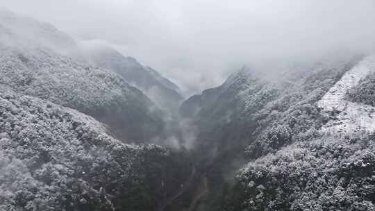 山间雪景雾霭弥漫景象 浙西大峡谷