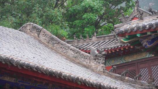 雨天古建筑屋顶