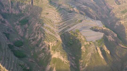 黄土高原  农村   农业   小麦  沟壑